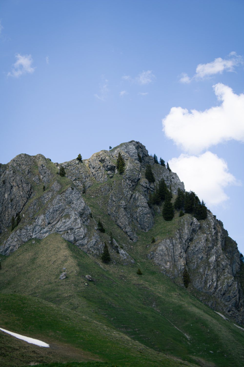 Natur