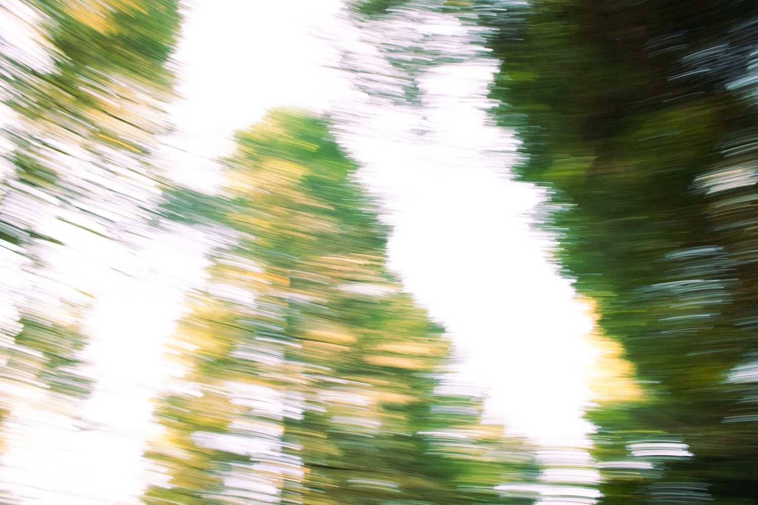 Natur