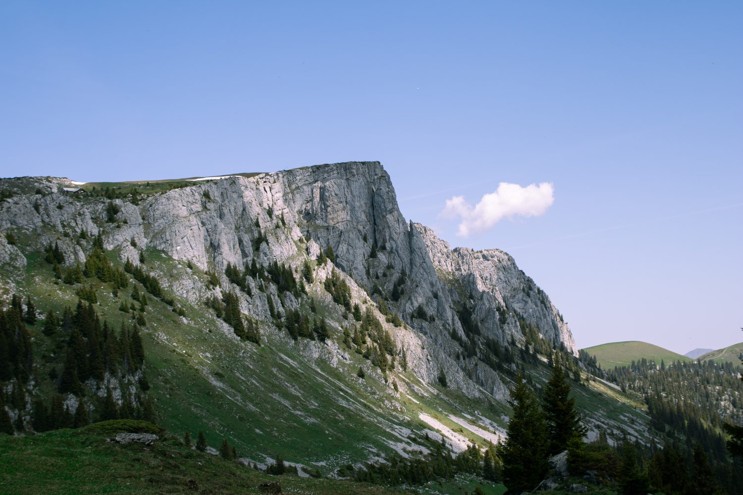 Natur