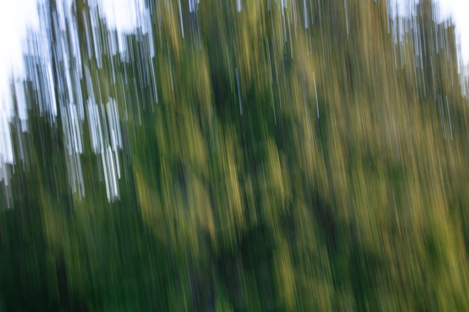 Natur